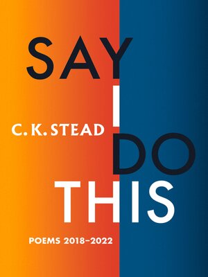 cover image of Say I Do This